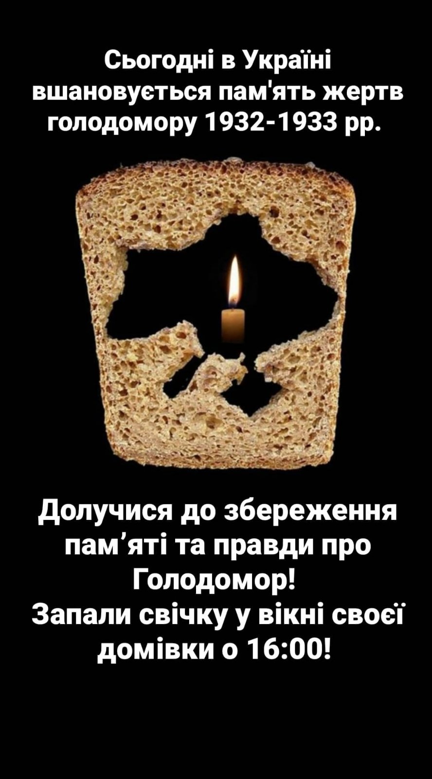 2020-11-28_10-59-29.jpg